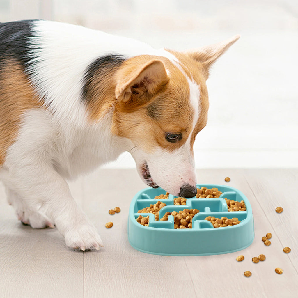 Pet Dog Slow Feeder Bowl Fun Non Slip Anti-Gulping Slower Food
