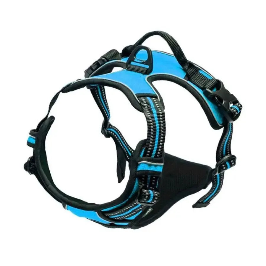 Dog Collars Harness Big Vests Leash Pet Shop Everything For Dogs