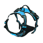 Dog Collars Harness Big Vests Leash Pet Shop Everything For Dogs