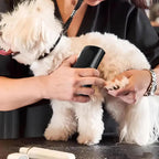 Professional Pet Deshedding Brush Multifunctional Pet Groom Brush