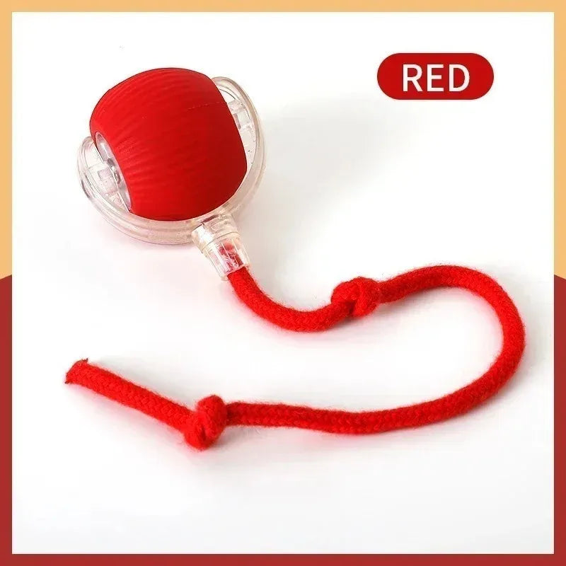 Smart Dog Toy Ball Electronic Interactive Pet Toy Moving Ball Usb