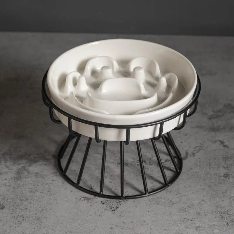 Elevated Ceramic Slow Feeder Bowl for Dogs Cats, Anti-Choking Maze