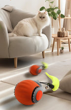 Cat Interactive Ball Toys Automatic Rolling Ball Faux Tail
