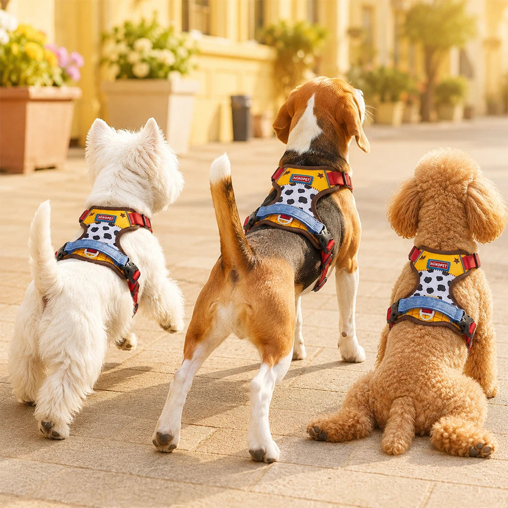 Comfortable Breathable Mesh-Lined Printed Pet Harness with