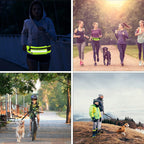 Adjustable Hands-Free Bungee Dog Leash