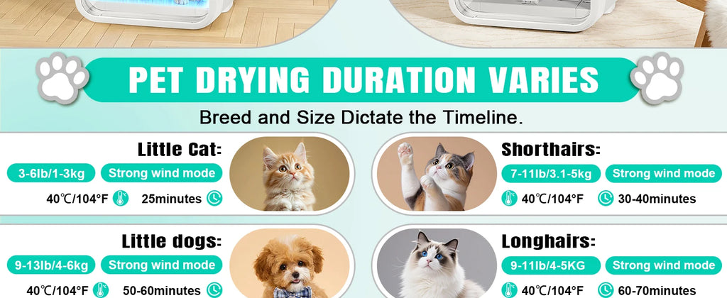 Professional Pet Dryer Box for Dogs Cats Fast Drying & Low Noise