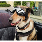 Transparent Color Pet Dog Goggles Waterproof Windproof Sunscreen