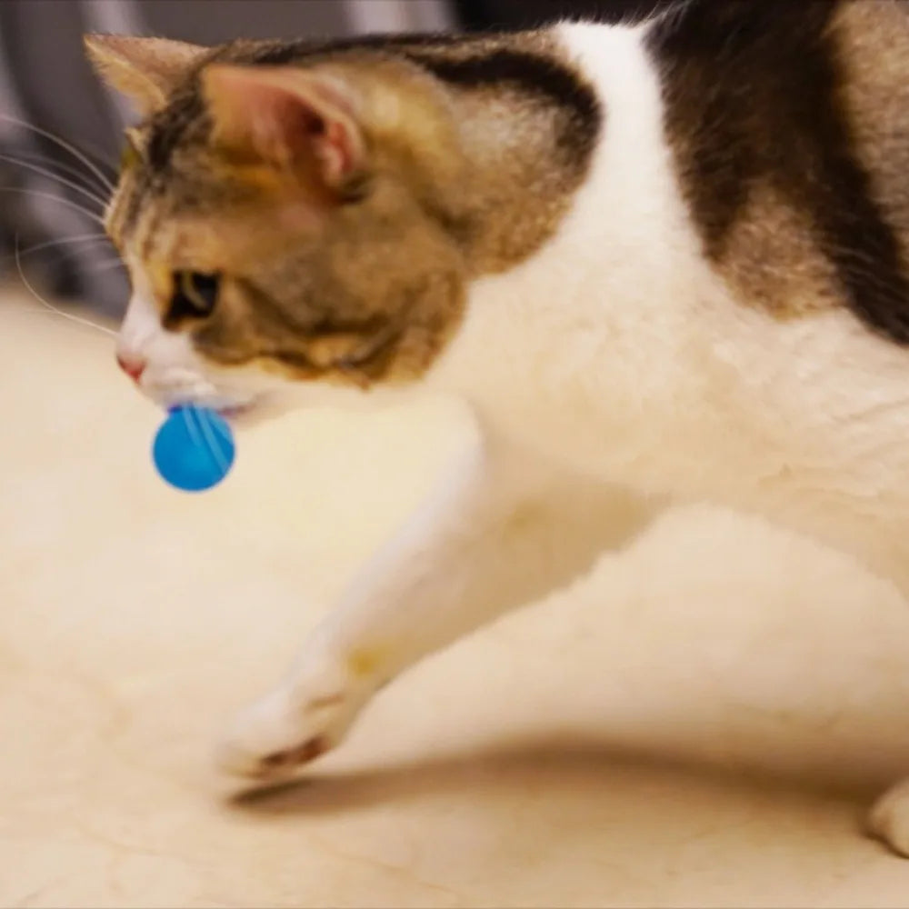 Cat Interactive Toy Tickle Cat Colorful Bouncing Ball