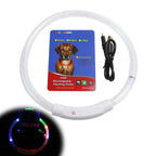Luminous Pet Dog Collar Waterproof LED Dog Collar Rechargeable