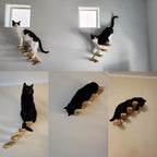 Cat Climbing Stairs Wall Mounted Steps Made of Wood and Sisal Rope