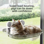 20Kg Capacity Cat Hammock with Rock Climbing Frame Comfortable