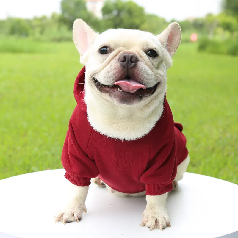 Autumn Winter Pet Dog Hoodies Warm Coat Sweater Small Medium Dog