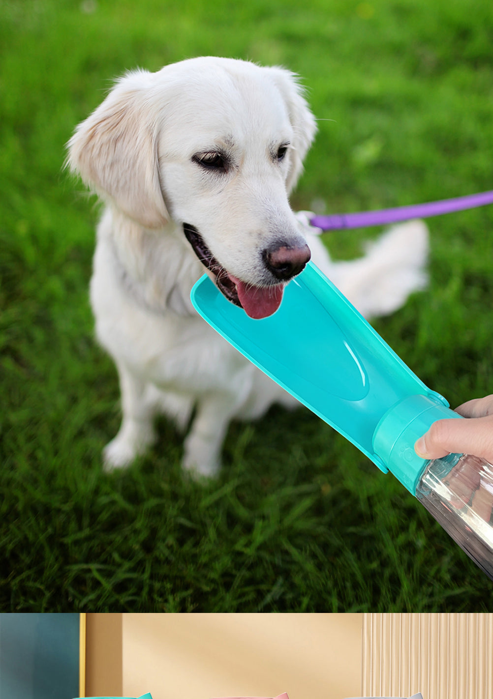 Portable Dog Water Bottle Dispenser For Small Large Dogs Foldable