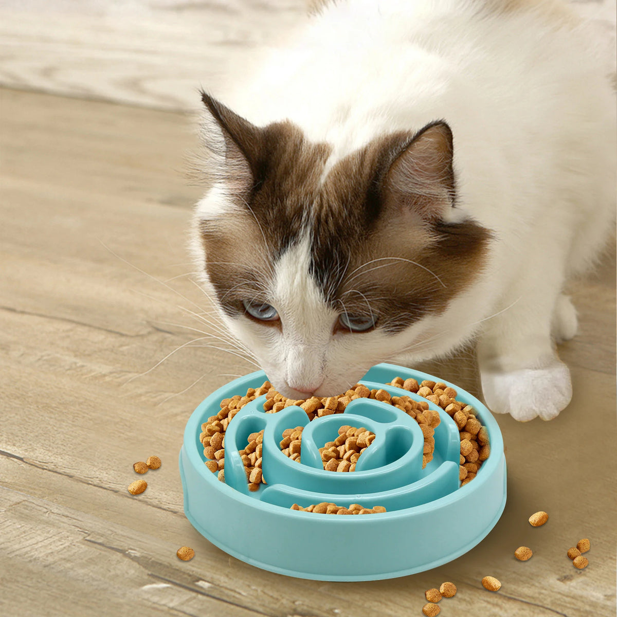 Pet Dog Slow Feeder Bowl Eco Dog Bowl Fun Non Slip Anti-Gulping