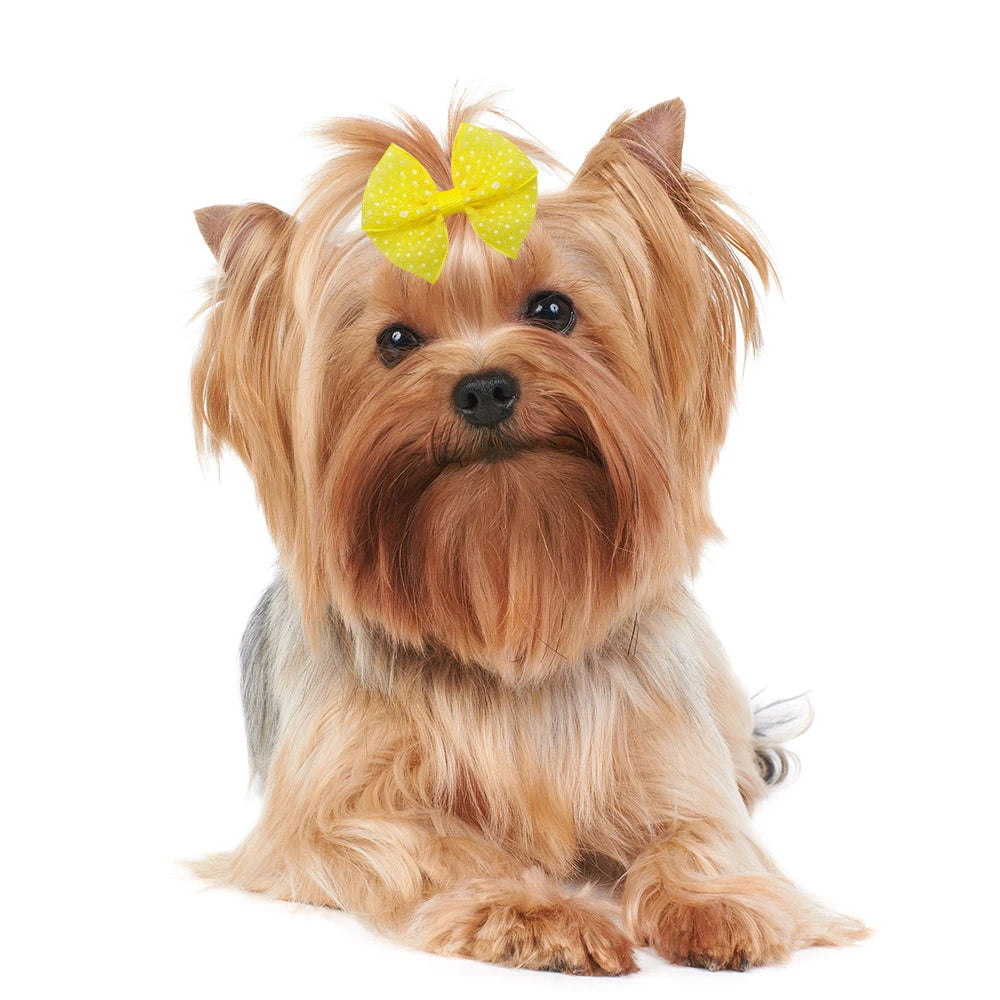 Lace Dogs Hair Bows with Dotted Dog Hair Rubber Bands Colorful