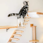 Cat Climbing Stairs Wall Mounted Steps Made of Wood and Sisal Rope
