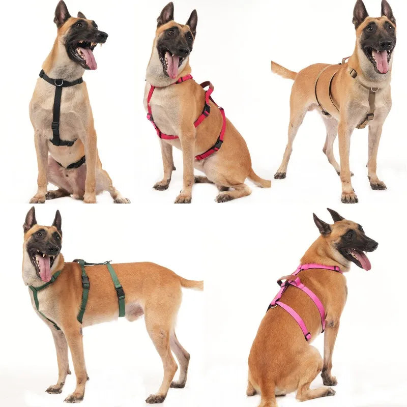 No-PUll Dog Harness for Large Dogs Outdoor Training