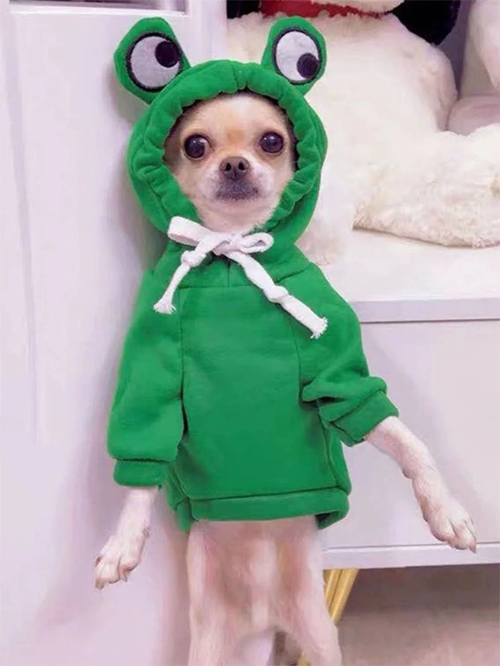 Cute Frog Hoodie for Small and Medium Dogs