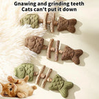Funny Fish Bone Cat Toys Cat Teeth Cleaning Toy with Catnip &