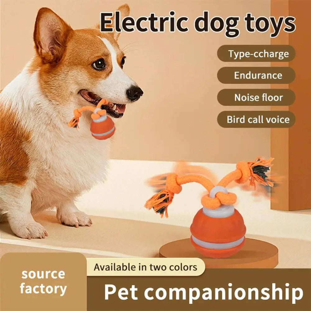 Pet Ball Interactive Toys for Dogs Motion Activate Rolling Ball