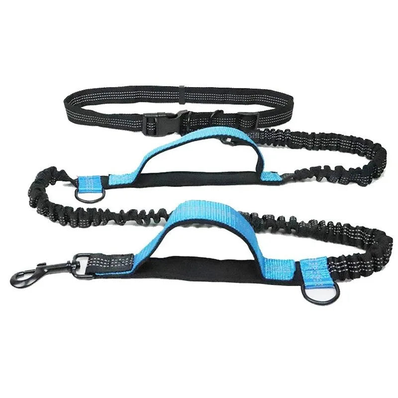 Adjustable Hands-Free Bungee Dog Leash