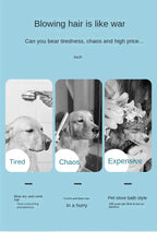 Pet Hair Dryer Dog Grooming Golden Retriever Hairdressing Dog
