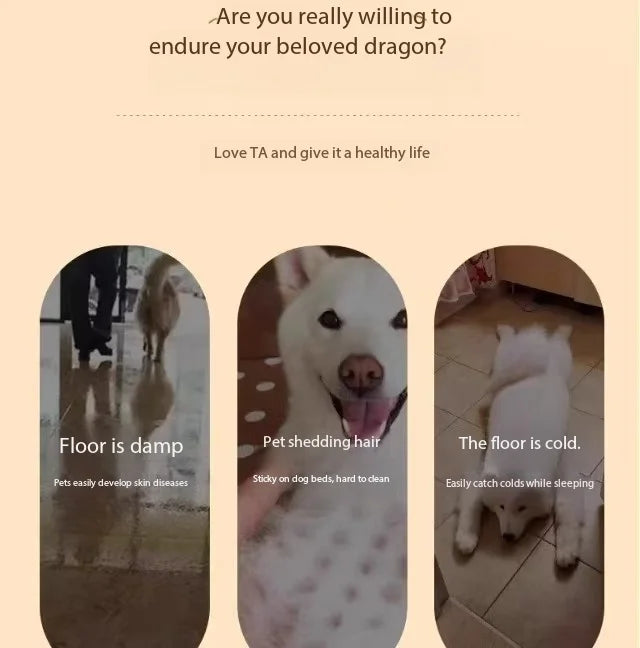 Cooling Elevated Dog Bed with Non-Slip Floor Protectors and