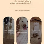 Cooling Elevated Dog Bed with Non-Slip Floor Protectors and