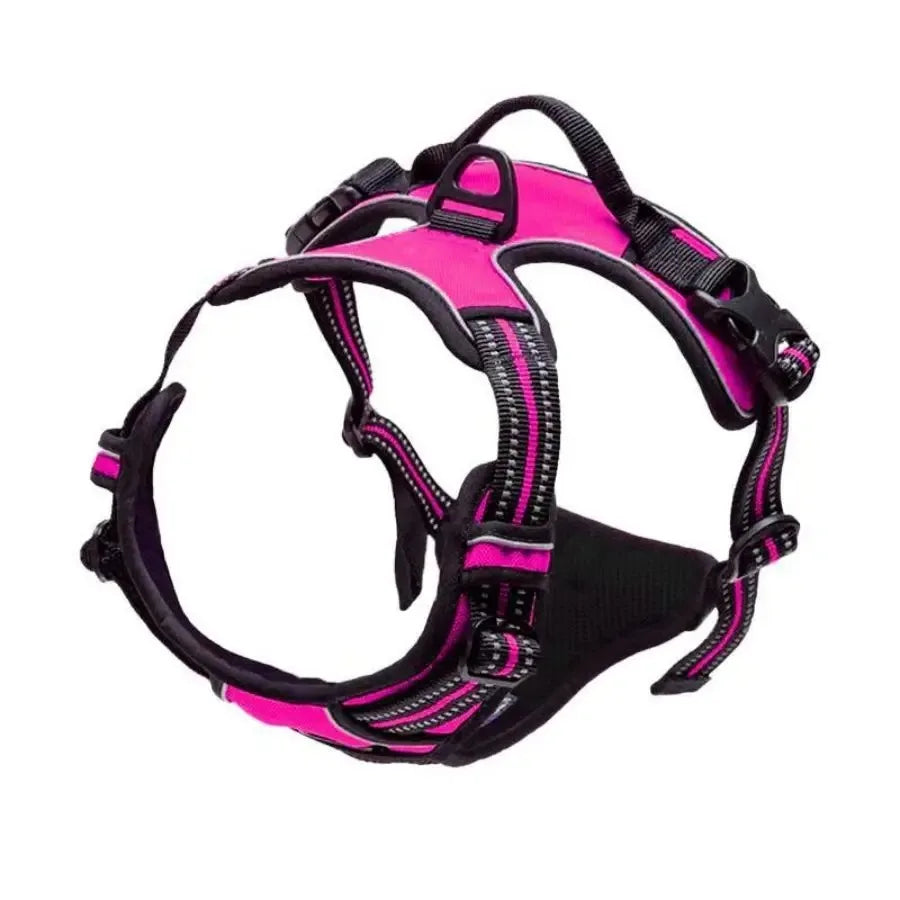 Dog Collars Harness Big Vests Leash Pet Shop Everything For Dogs