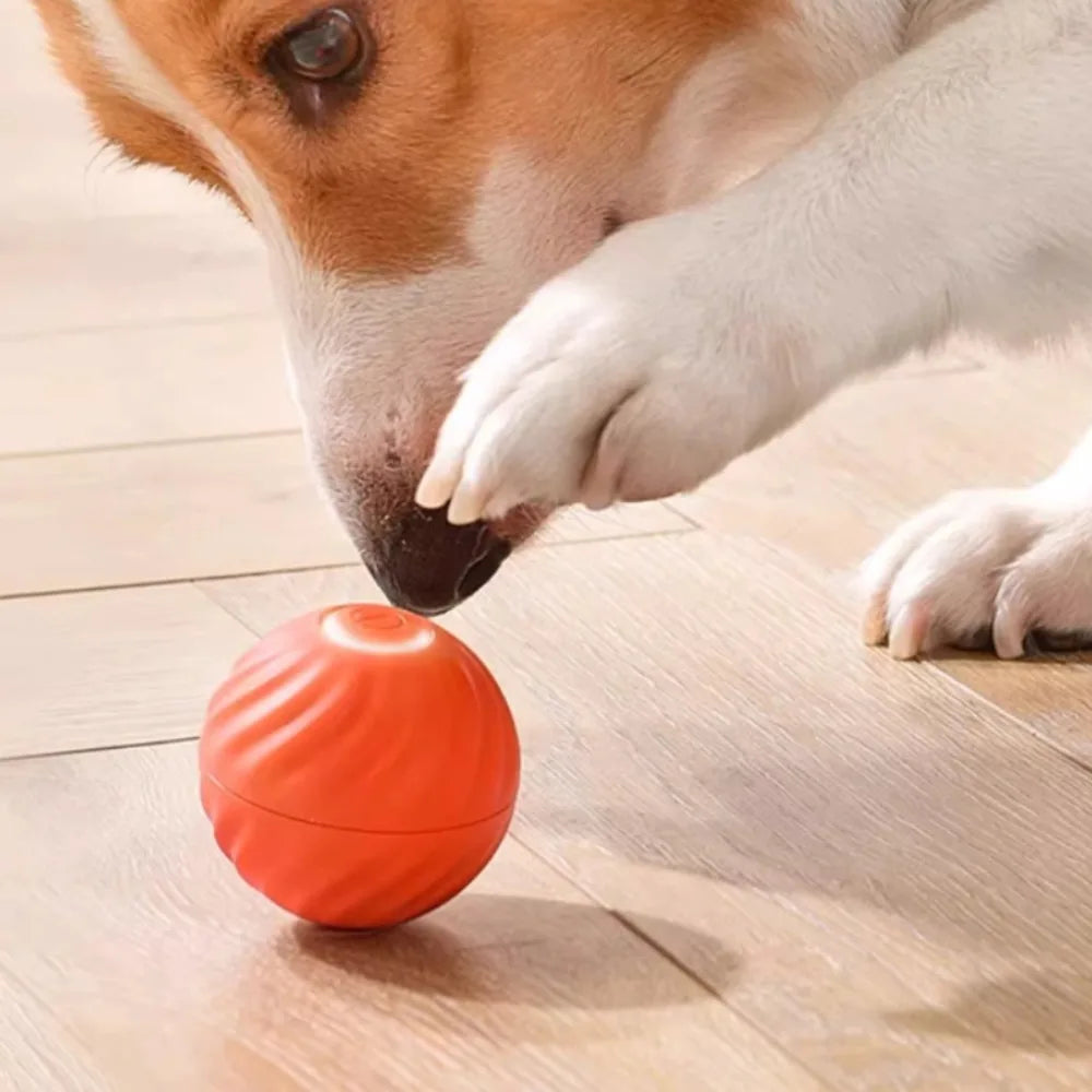 Pet Toy Ball Automatic Moving Dog Toy Ball Smart Usb Jumping