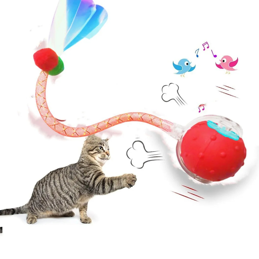 Smart Rolling Ball Cat Toy Interactive Self Play Bite Resistant