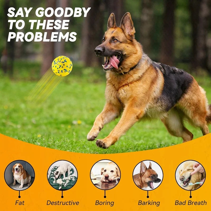 Dog Toy Ball Solid Bite Resistant Small Large Dog Toys E-TPU High