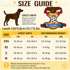 Comfortable Breathable Mesh-Lined Printed Pet Harness with