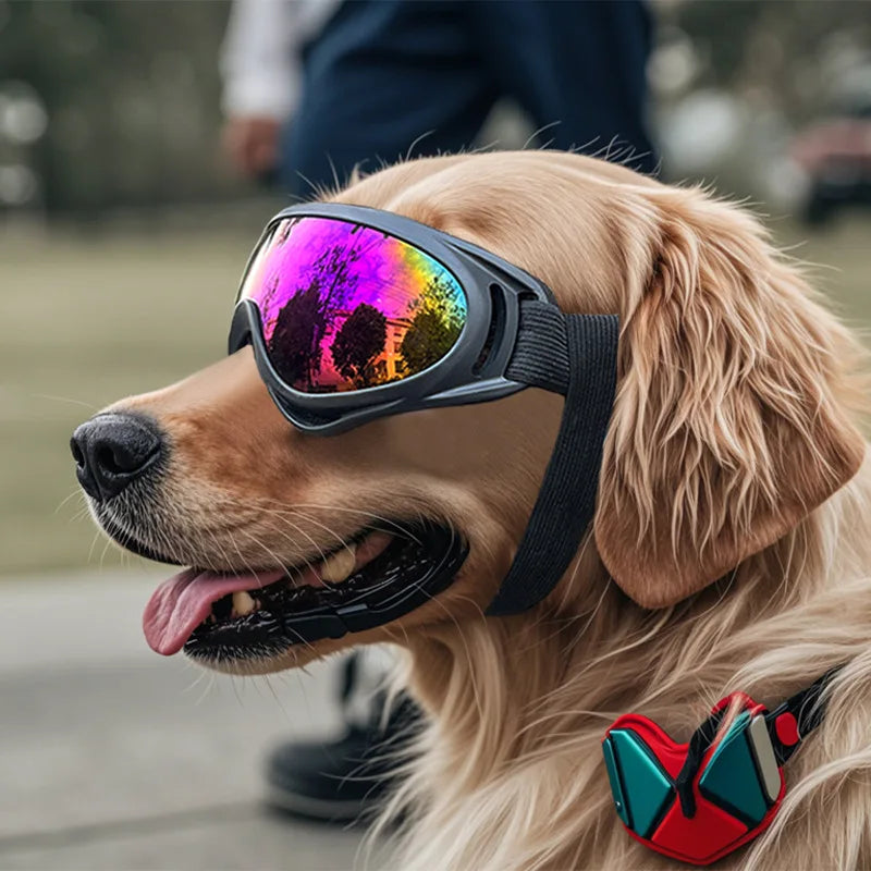 Aviator Dog Sunglasses