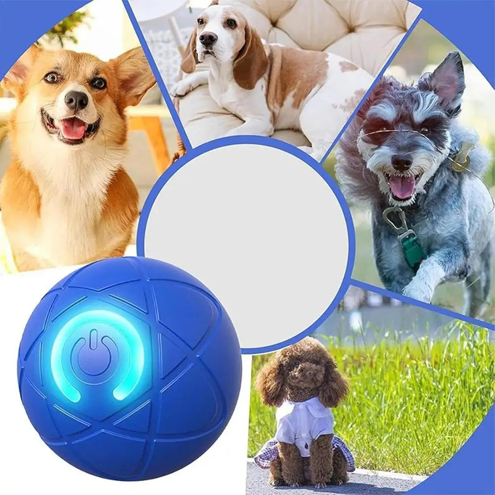 Pet Automatic Rolling Ball Toy Shaky Ball Toy for Dogs Auto