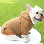 Autumn Winter Pet Dog Hoodies Warm Coat Sweater Small Medium Dog