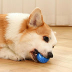 Pet Toy Ball Automatic Moving Dog Toy Ball Smart Usb Jumping