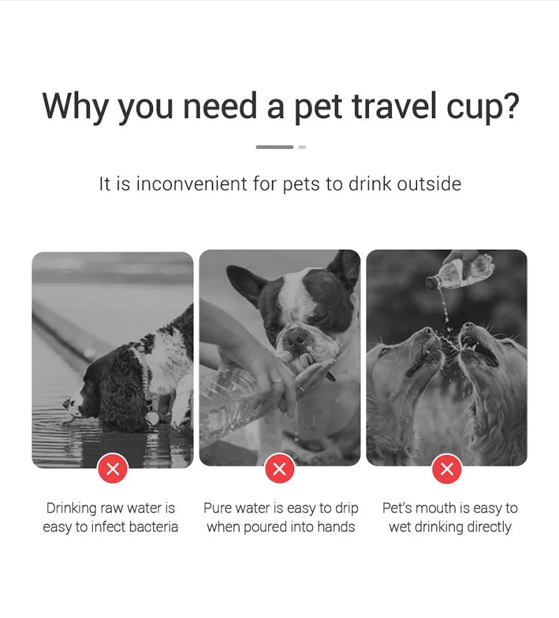 Leakproof Dog Water Bottle for Small & Large Breeds