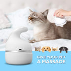 Electric Head Massager