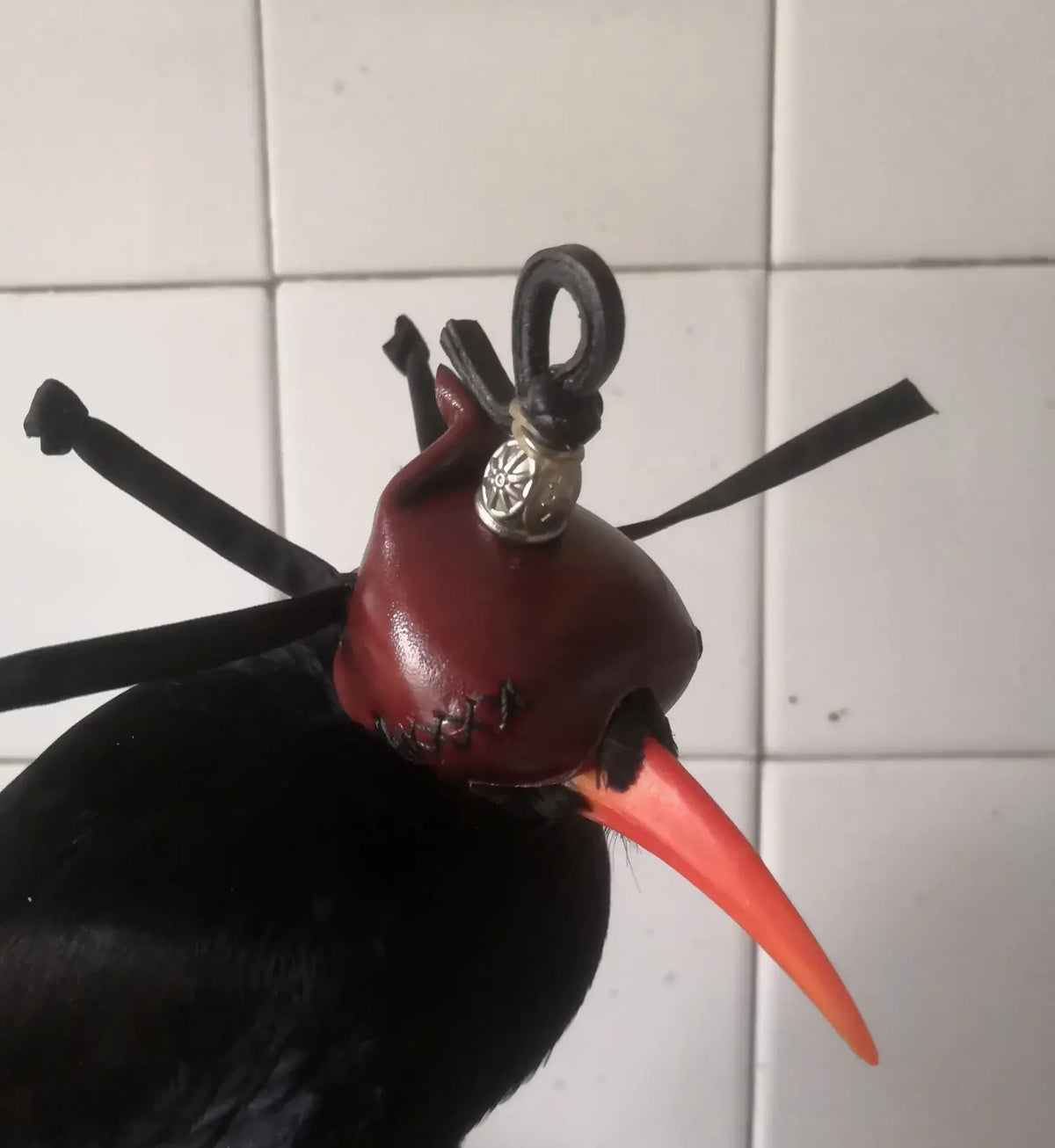 Handmade Cowhide Hat Eye Red Mouth Bird Supplies Crow Magpie