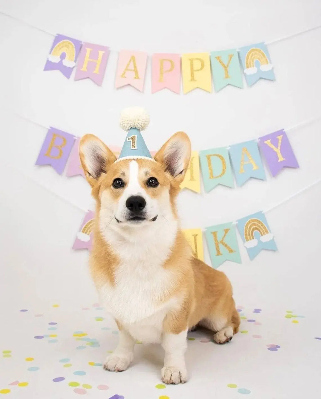 1St Birthday Hat Handmade Party Decoration Cone Hat Pet Hat First