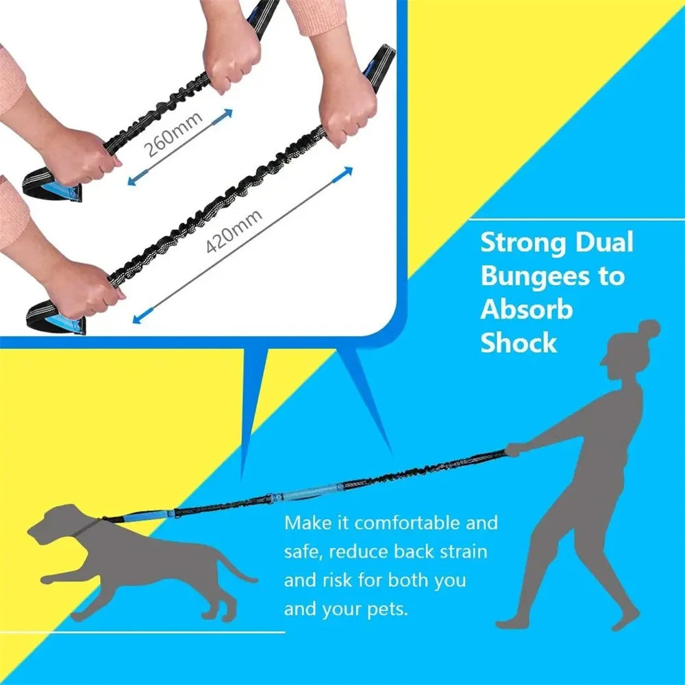 Adjustable Hands-Free Bungee Dog Leash