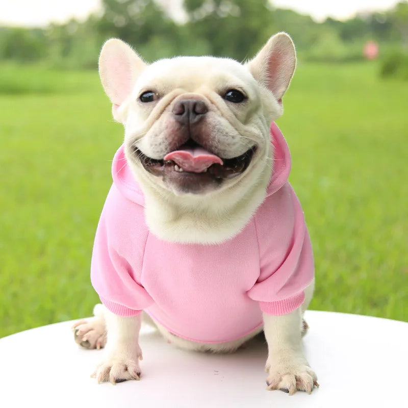 Autumn Winter Pet Dog Hoodies Warm Coat Sweater Small Medium Dog
