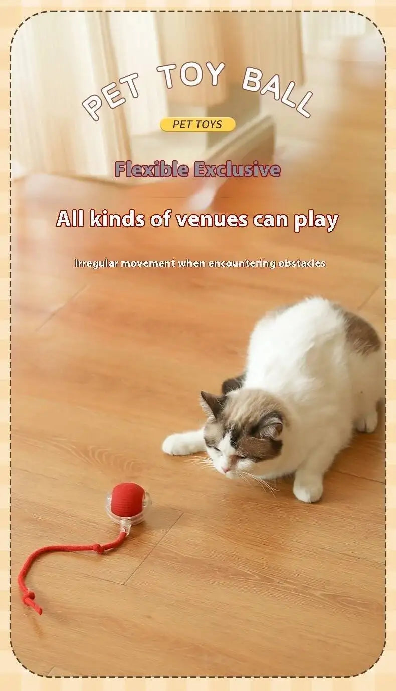 Smart Dog Toy Ball Electronic Interactive Pet Toy Moving Ball Usb