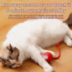 Cat Interactive Ball Toys Automatic Rolling Ball Faux Tail