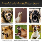 Dog Auto Anti-Bark Collar USB Rechargeable Training Collars Safety