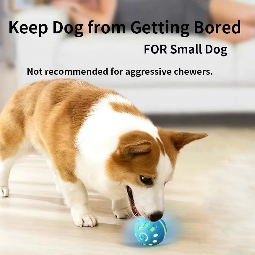 Lumiâ„¢ Interactive Dog Ball