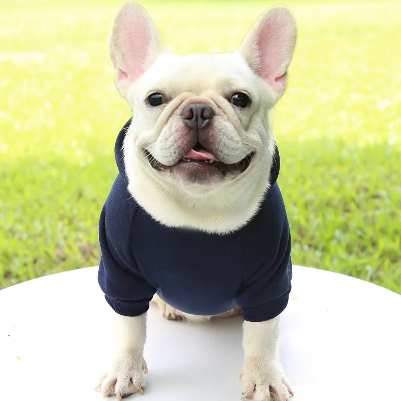 Autumn Winter Pet Dog Hoodies Warm Coat Sweater Small Medium Dog