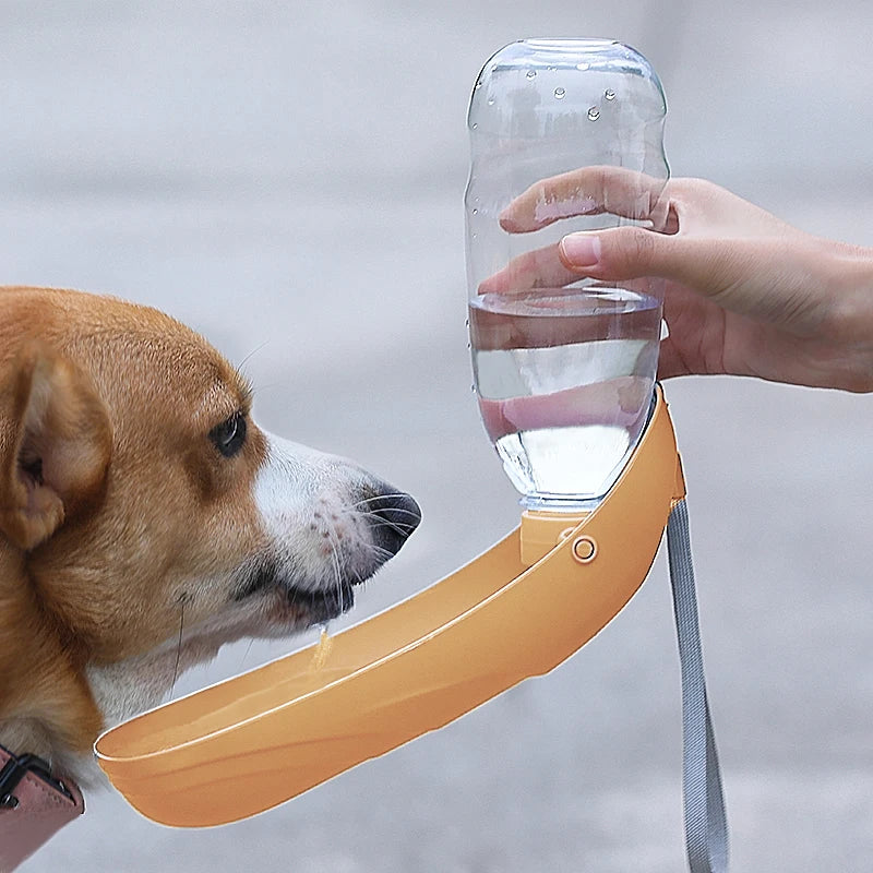 Portable Dog Water Bottle For Small Large Dogs Foldable