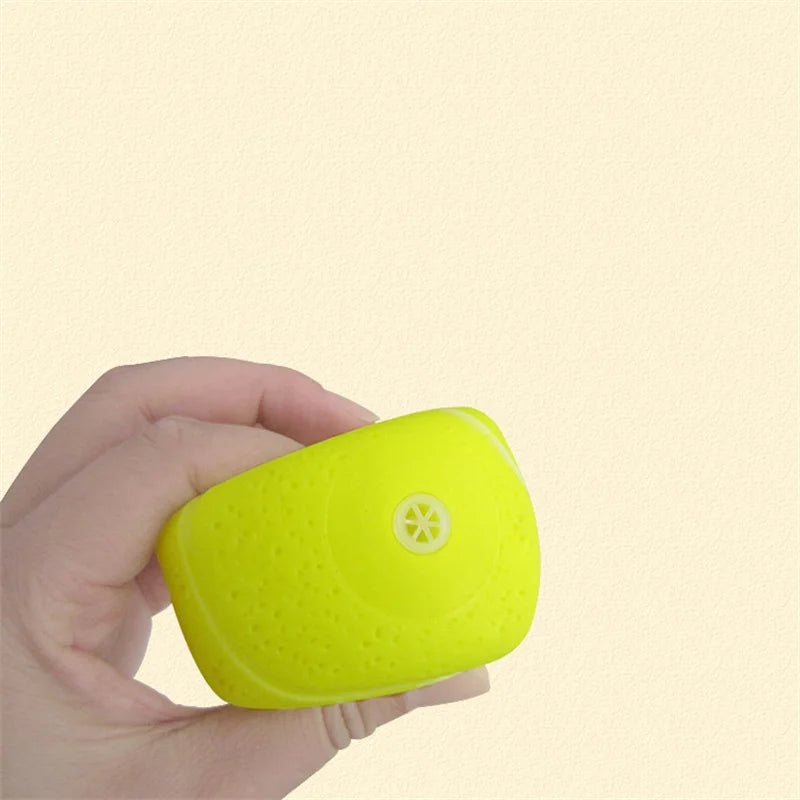 Diameter Pet Dog Ball Toys with Squeak for Small Dogs French